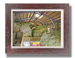 Schneiderbauer-Hof Lamprechtshausen - Fleckvieh-Kalbinnen Aufzucht